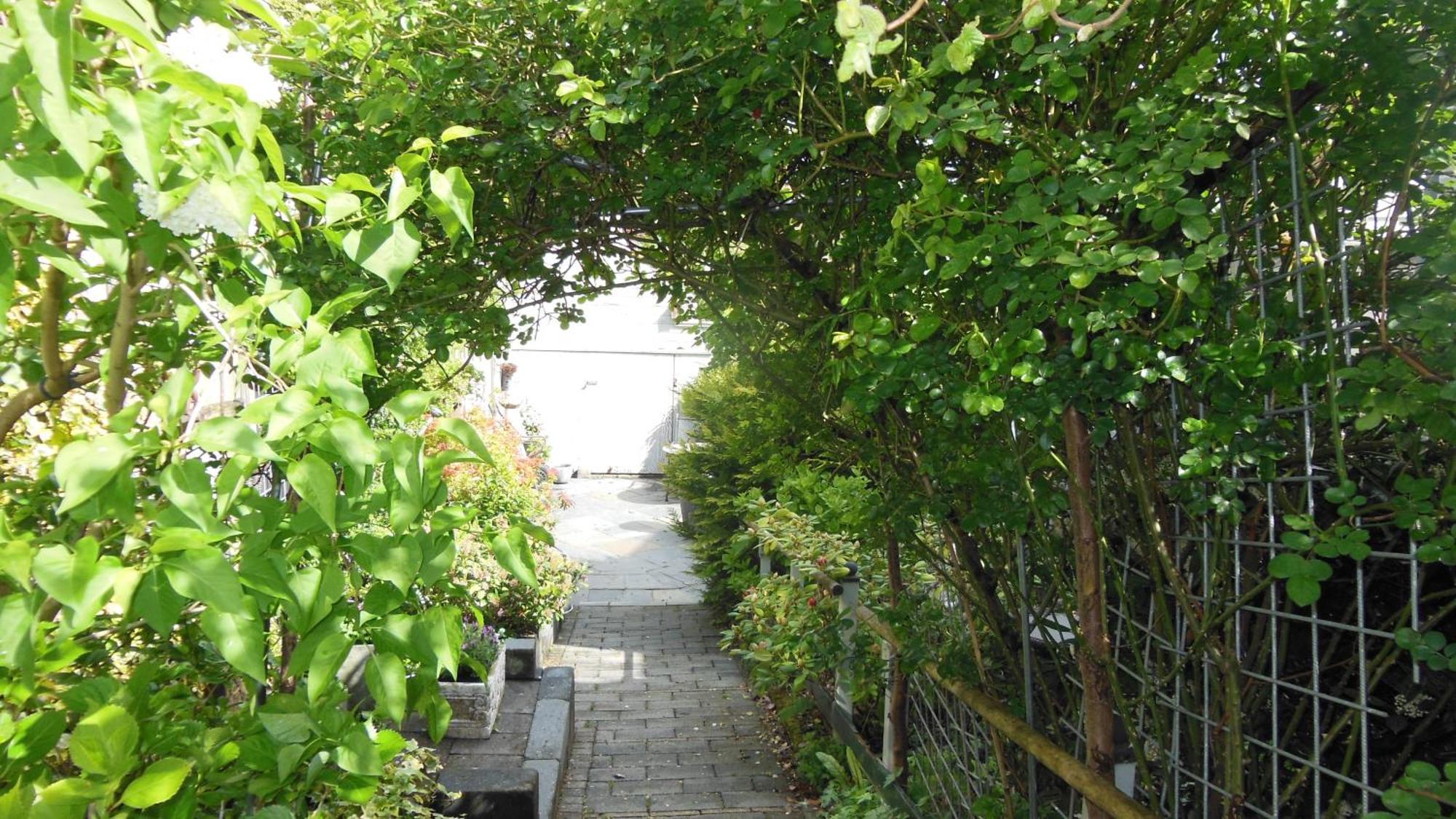 Munnik'S Hof Bed & Breakfast Amsterdam Dış mekan fotoğraf
